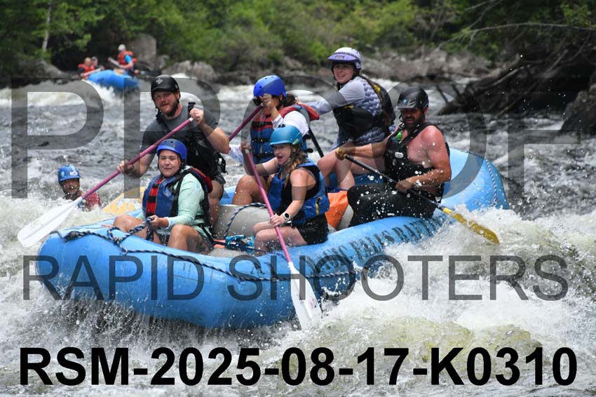 RSM-2025-08-17-K0310