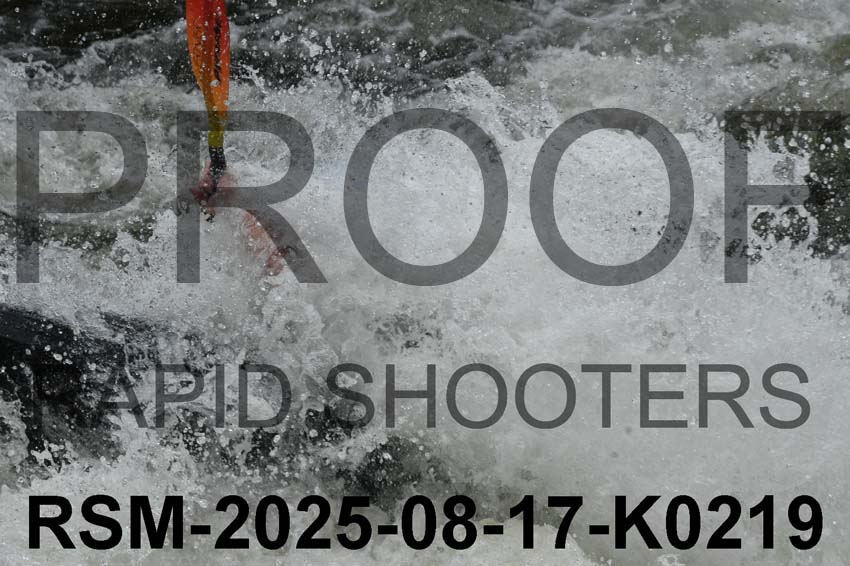 RSM-2025-08-17-K0219