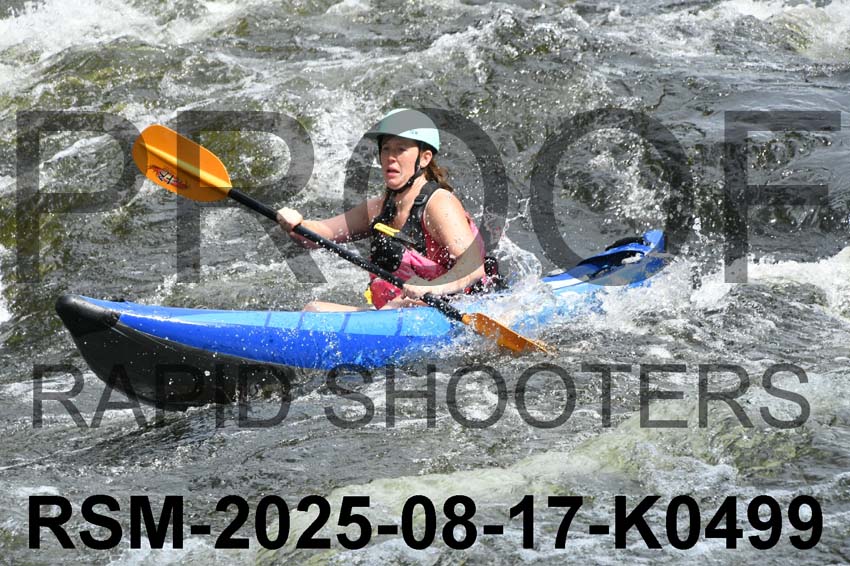 RSM-2025-08-17-K0499
