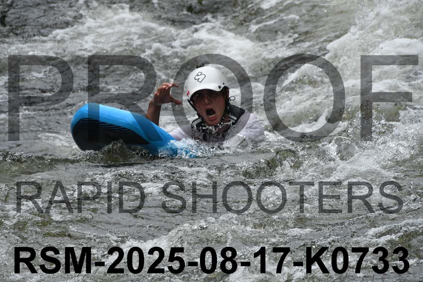 RSM-2025-08-17-K0733