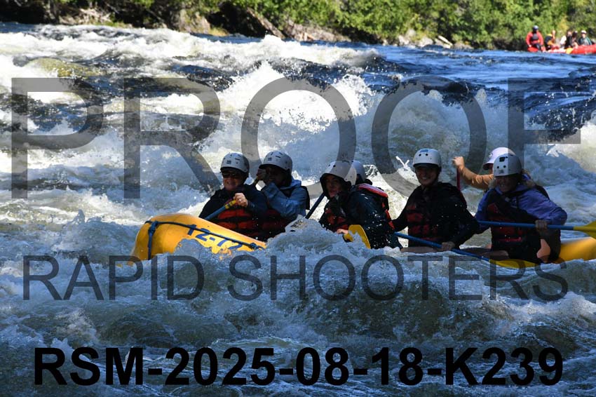 RSM-2025-08-18-K239