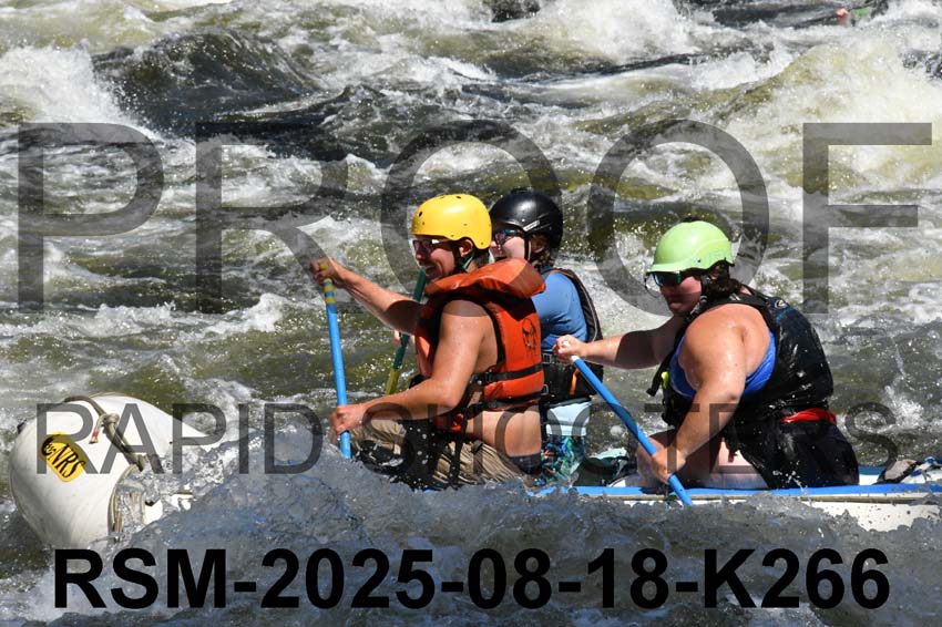 RSM-2025-08-18-K266