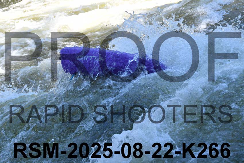 RSM-2025-08-22-K266
