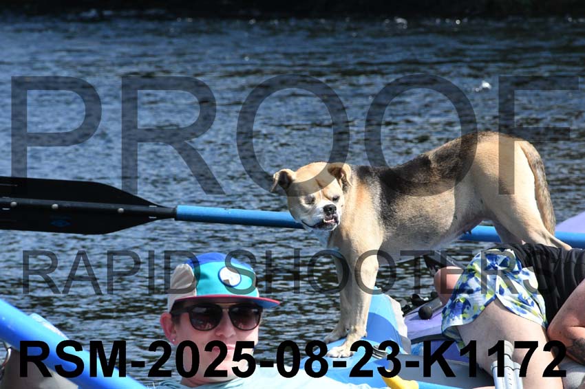 RSM-2025-08-23-K1172