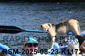 RSM-2025-08-23-K1172