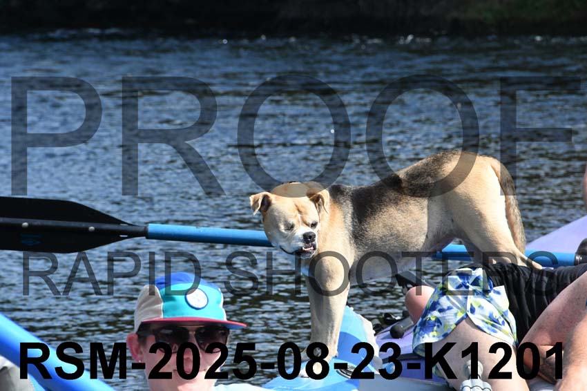 RSM-2025-08-23-K1201