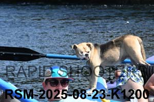 RSM-2025-08-23-K1200