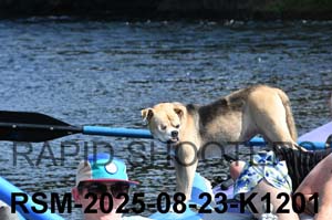 RSM-2025-08-23-K1201