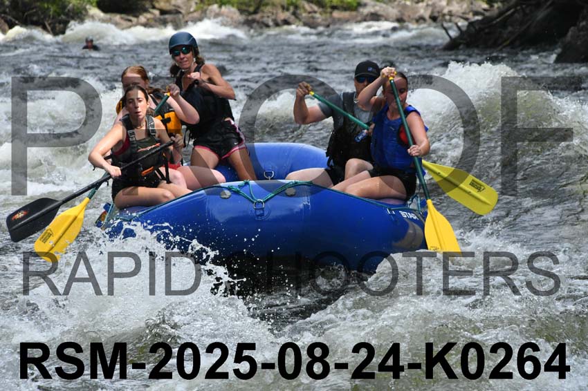 RSM-2025-08-24-K0264