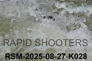 RSM-2025-08-27-K028