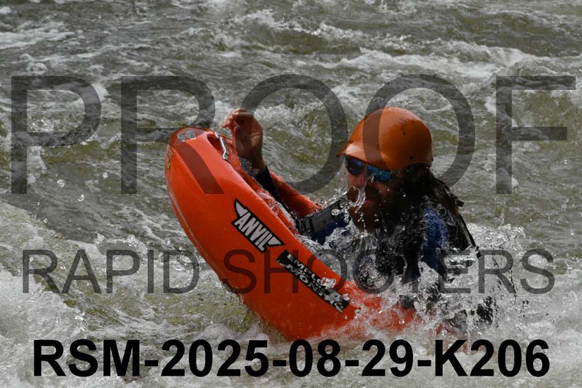 RSM-2025-08-29-K206