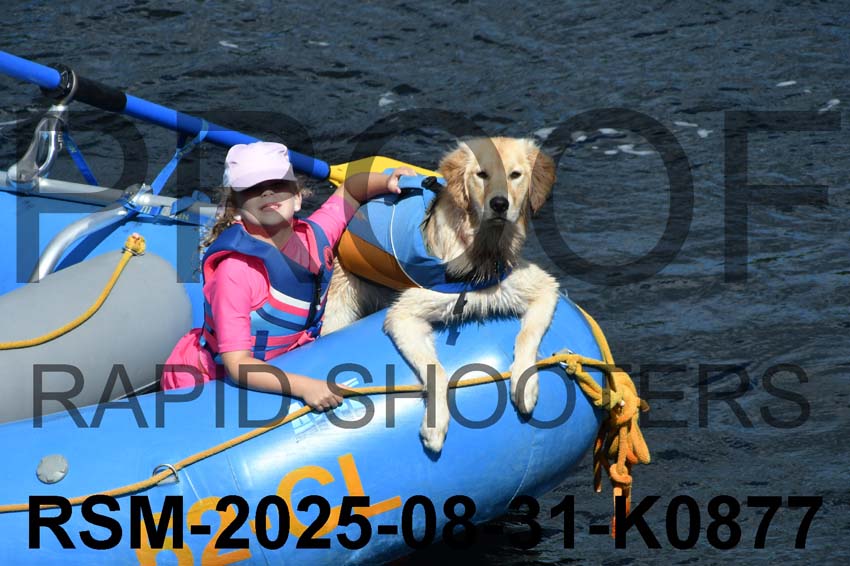 RSM-2025-08-31-K0877