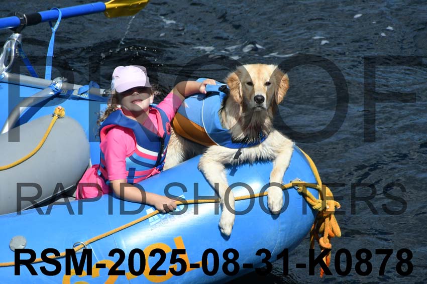 RSM-2025-08-31-K0878