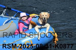 RSM-2025-08-31-K0877