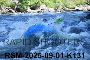 RSM-2025-09-01-K131