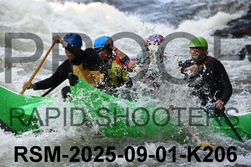 RSM-2025-09-01-K206