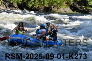 RSM-2025-09-01-K273