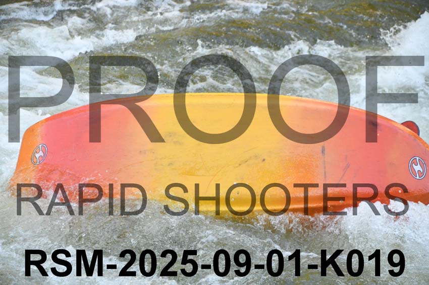 RSM-2025-09-01-K019