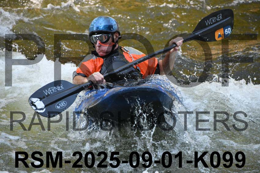 RSM-2025-09-01-K099