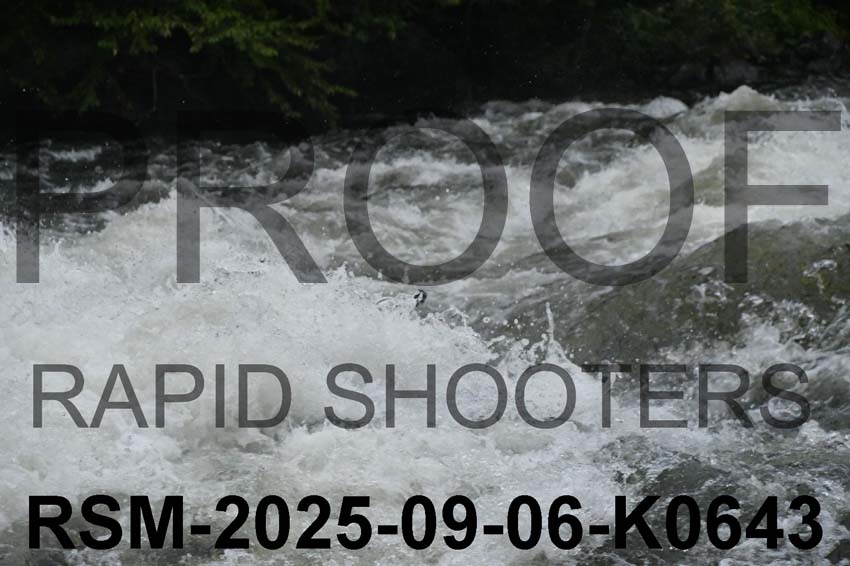 RSM-2025-09-06-K0643