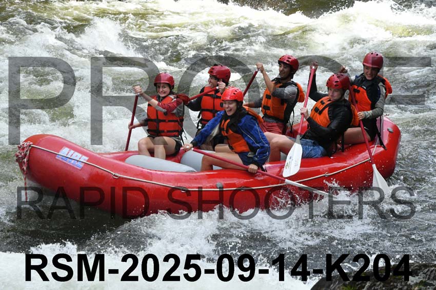 RSM-2025-09-14-K204