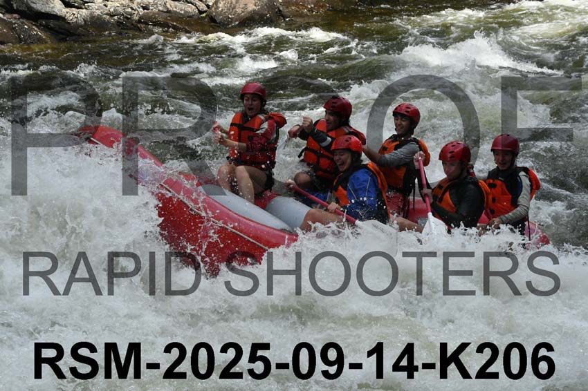 RSM-2025-09-14-K206