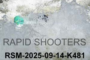 RSM-2025-09-14-K481
