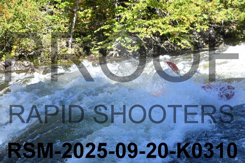 RSM-2025-09-20-K0310