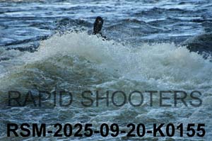 RSM-2025-09-20-K0155