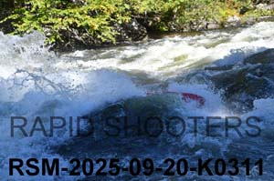 RSM-2025-09-20-K0311