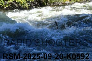 RSM-2025-09-20-K0592