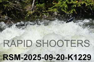 RSM-2025-09-20-K1229