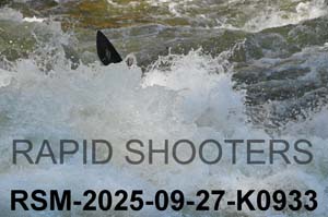 RSM-2025-09-27-K0933