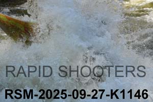 RSM-2025-09-27-K1146