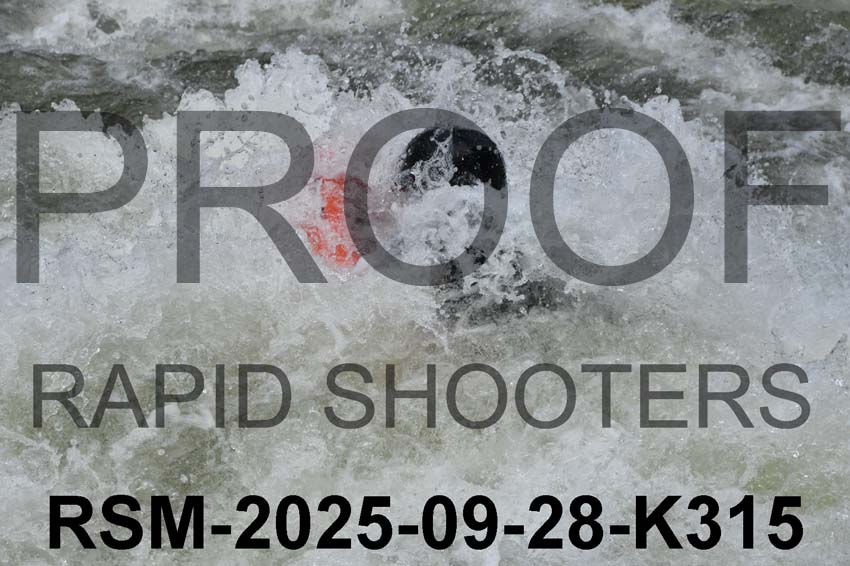 RSM-2025-09-28-K315