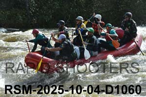 RSM-2025-10-04-D1060