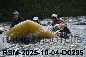 RSM-2025-10-04-D0295