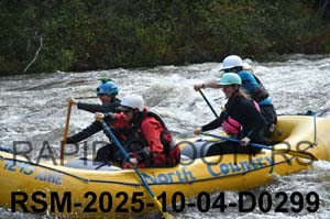 RSM-2025-10-04-D0299