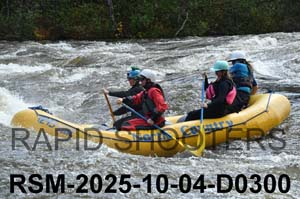RSM-2025-10-04-D0300