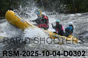 RSM-2025-10-04-D0302