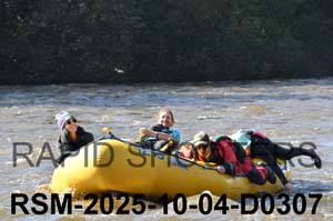 RSM-2025-10-04-D0307