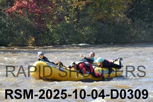RSM-2025-10-04-D0309