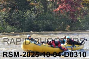 RSM-2025-10-04-D0310