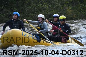 RSM-2025-10-04-D0312