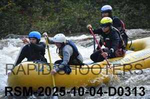 RSM-2025-10-04-D0313