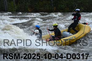 RSM-2025-10-04-D0317