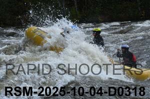 RSM-2025-10-04-D0318