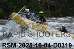 RSM-2025-10-04-D0319