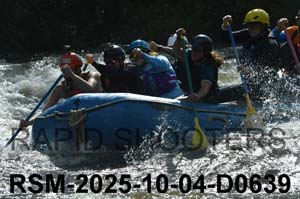 RSM-2025-10-04-D0639