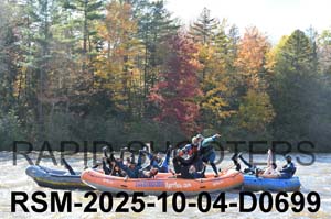 RSM-2025-10-04-D0699